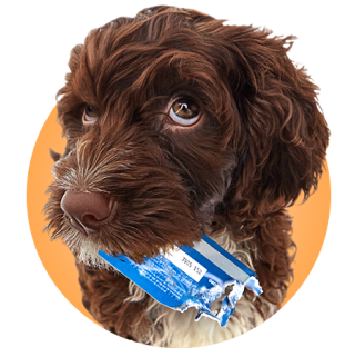 stage-haftpflichtschutz