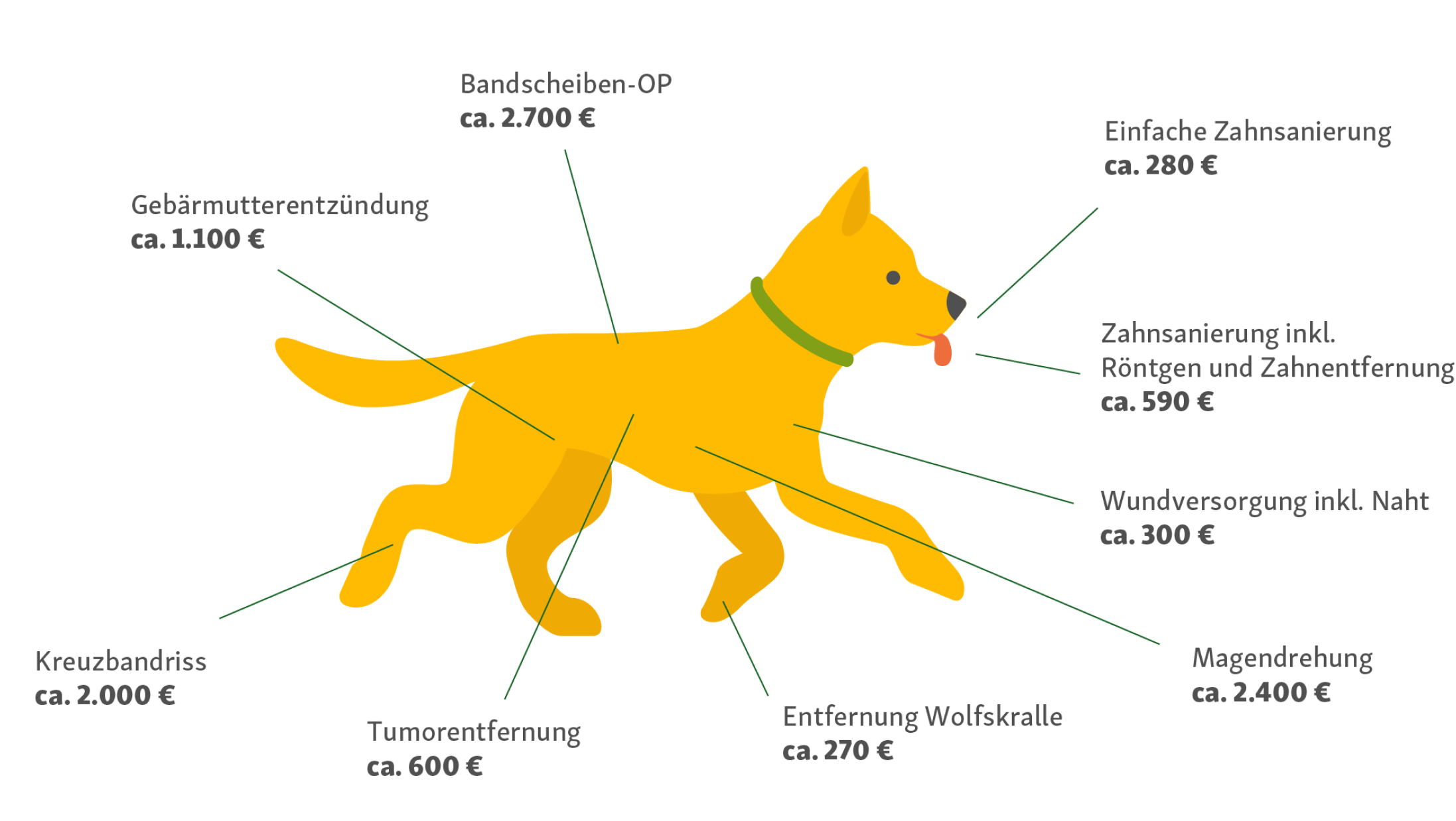 kostenbeispiele_hund